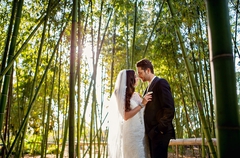 Magical Bamboo garden setting for the newlyweds
